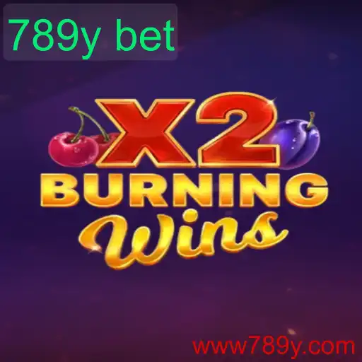 Descubra o Fascinante Mundo de BurningWinsX2 e 789y Bet
